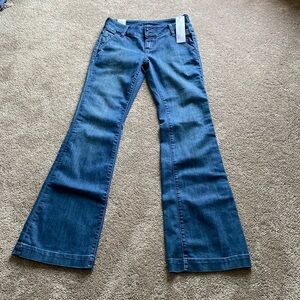 Dish Jane Montego Jeans SIZE 28/34 9️⃣